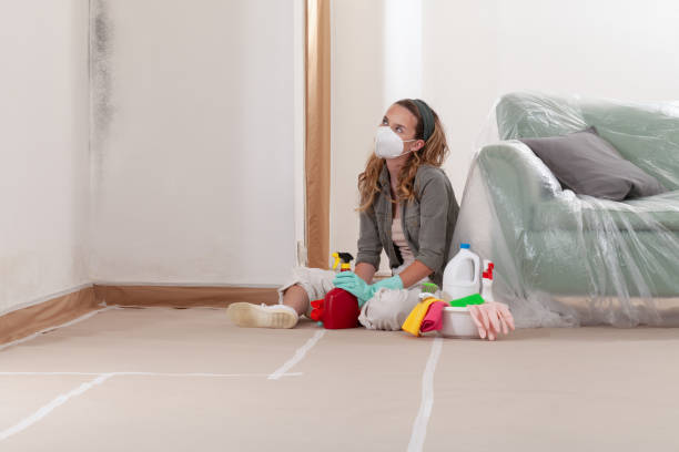 Reliable Mold Testing contractor in Hampstead, NC by WQB Mold Removal